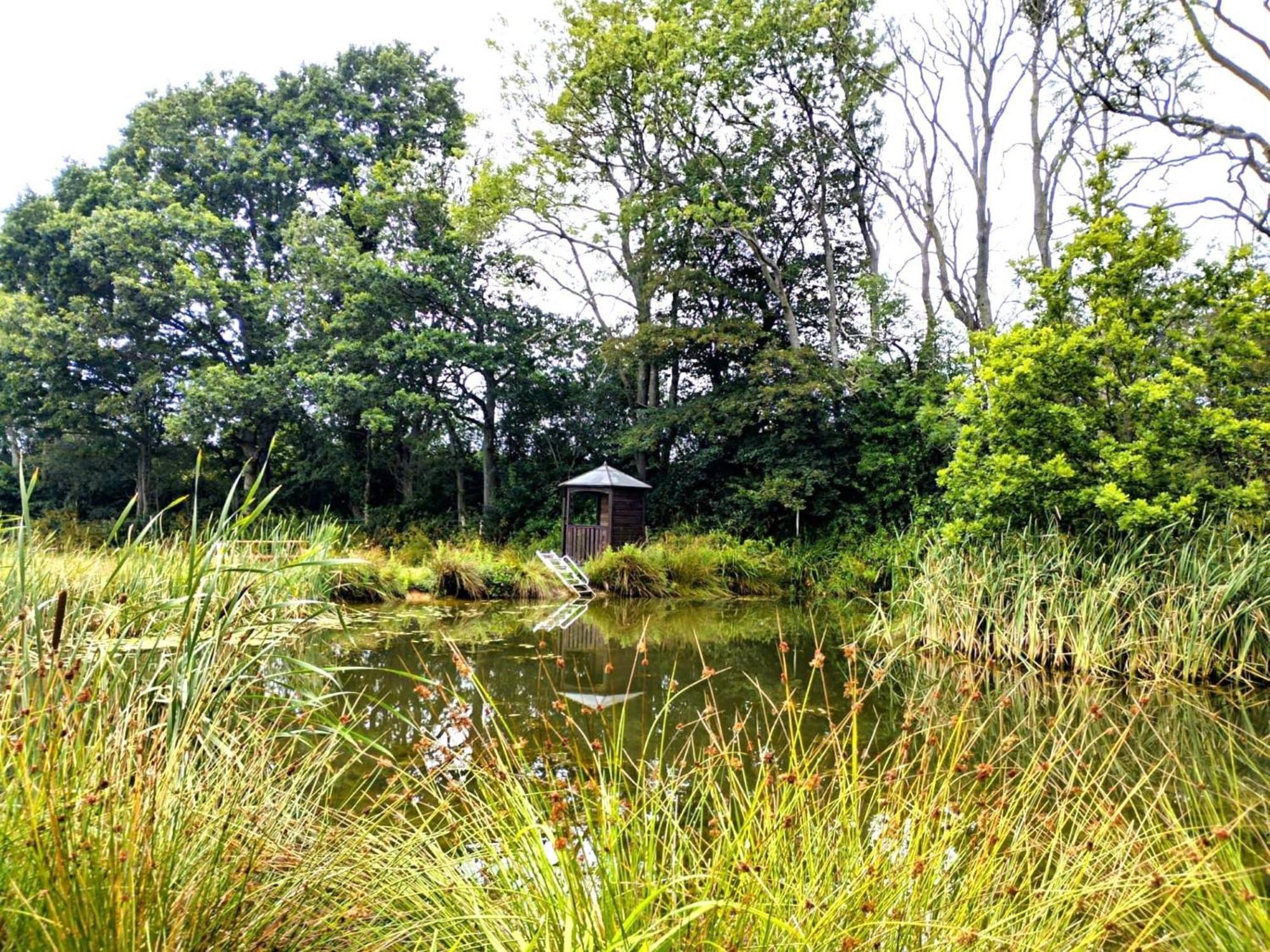 Snug & Secluded Lakeside Shepherds Hut 'Carp' Uckfield Buitenkant foto